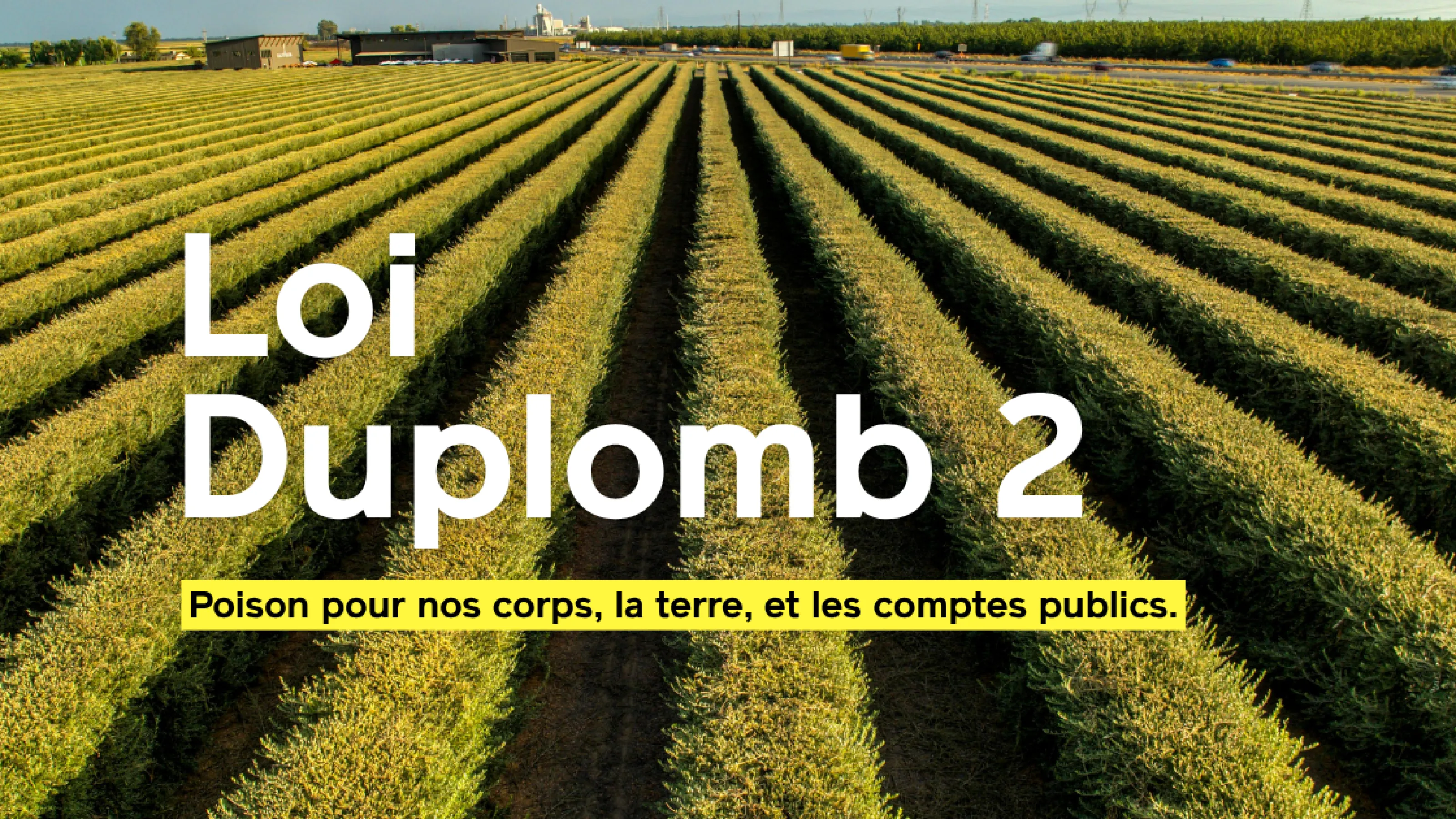 Loi Duplomb 2 : comment empoisonner nos corps, la terre, et les comptes publics.
