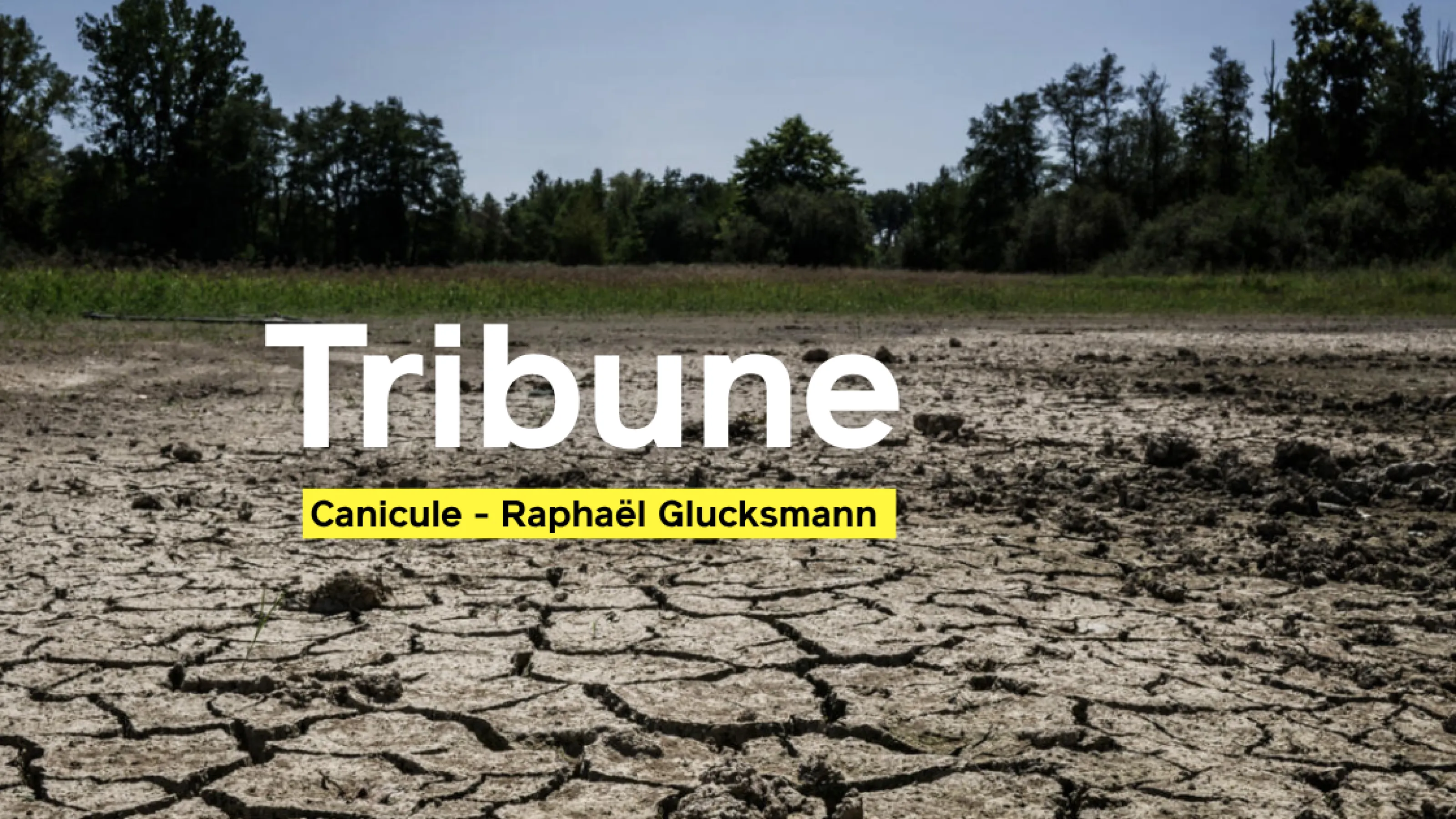 Tribune – Canicule : protéger maintenant, transformer durablement.