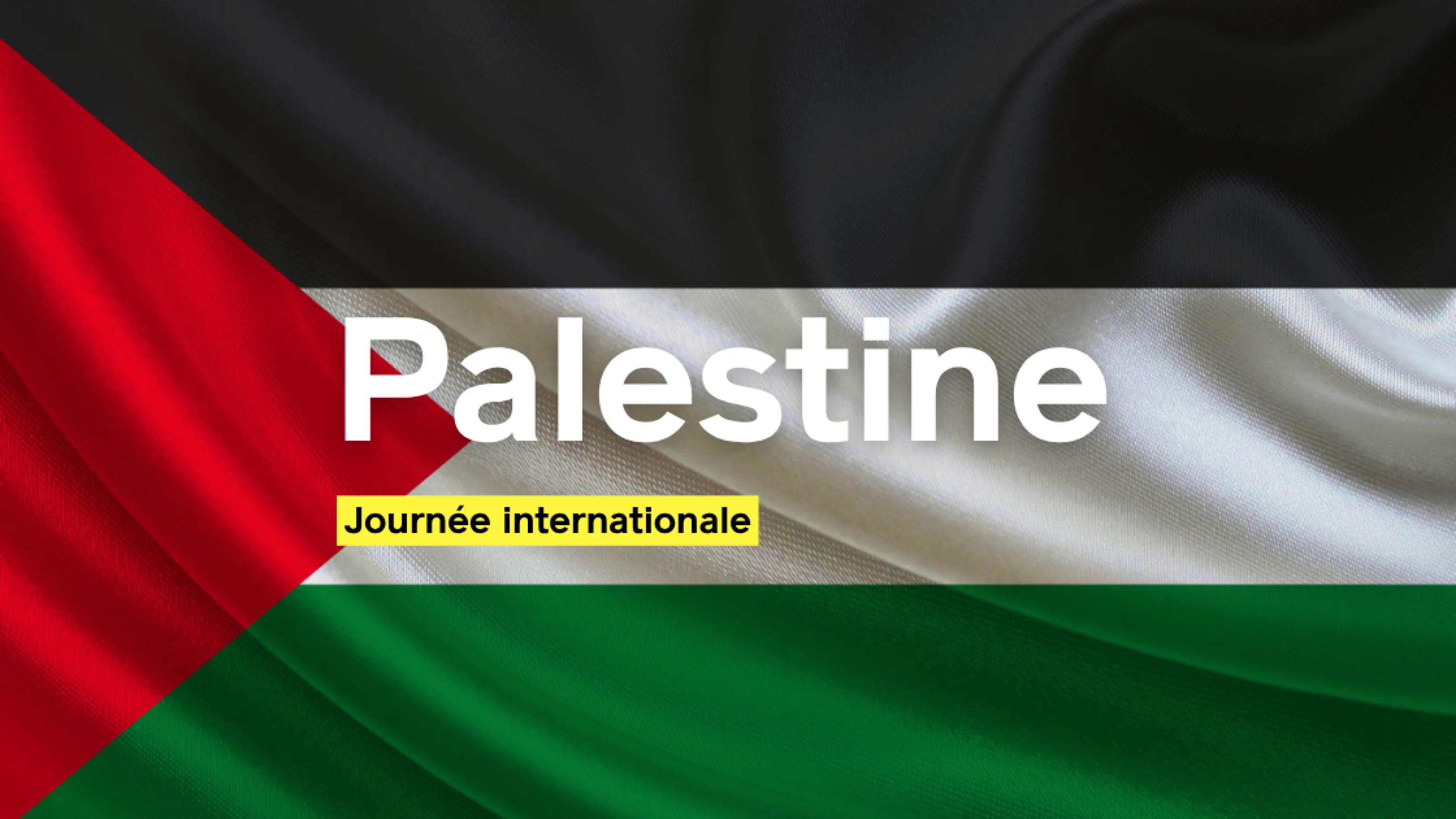 En cette Journée internationale de solidarité avec le peuple palestinien, le cessez-le-feu à Gaza est violé.